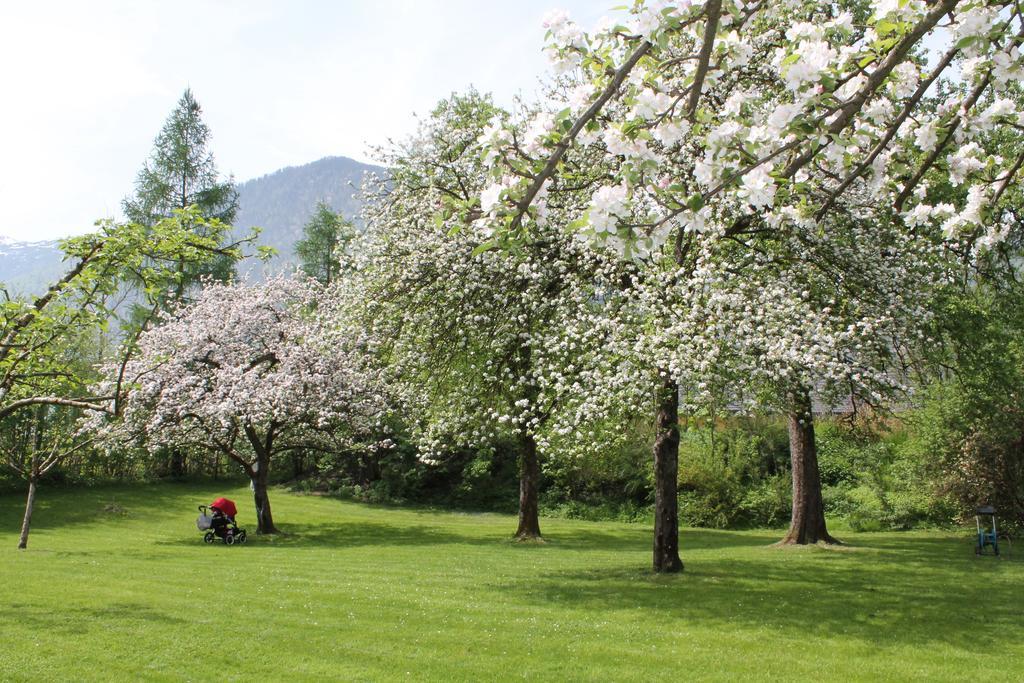 Hotel Hochsteg Guetl | Traunsee Salzkammergut 에벤시 객실 사진